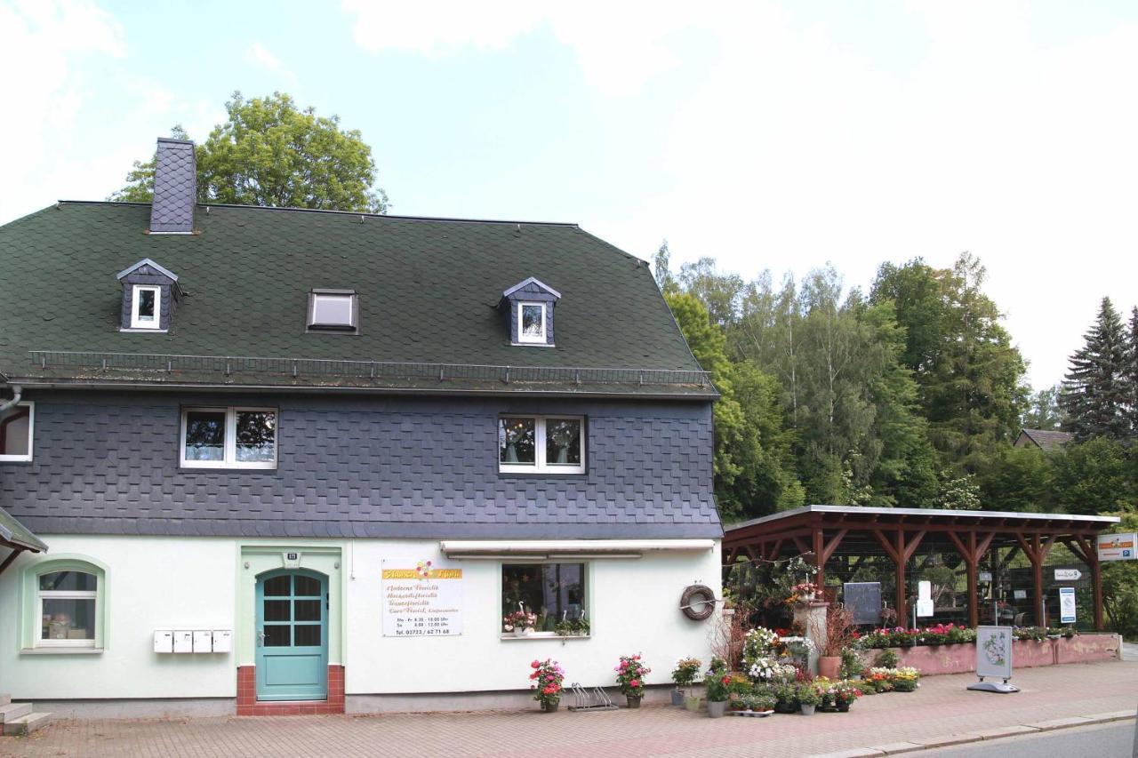 Fewo -Schiefe- Marie Oberlungwitz Exterior foto